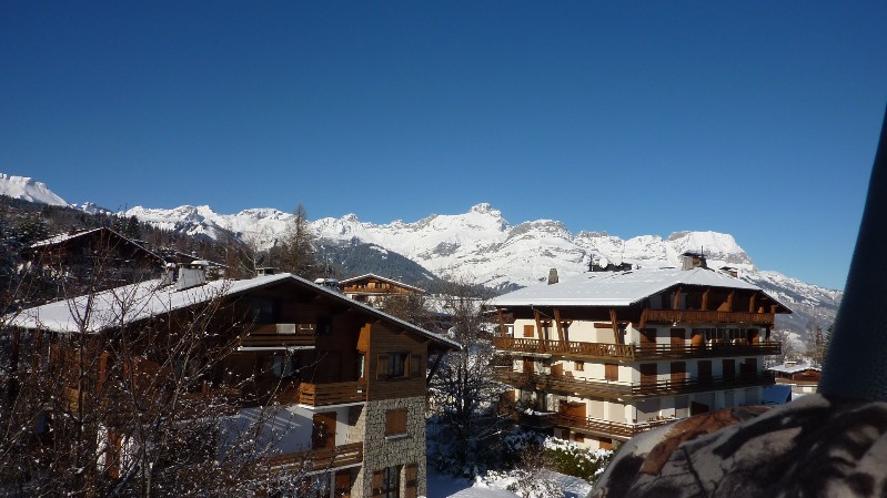 10.01.12 132 Promenade en montgolfière.JPG