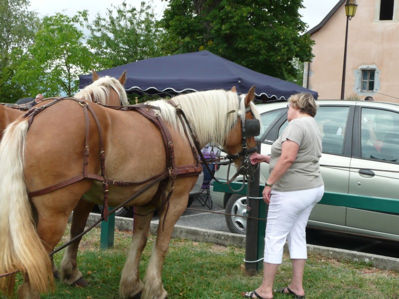 09.08.08 53 Foire aux bestiaux de Fillinges.JPG