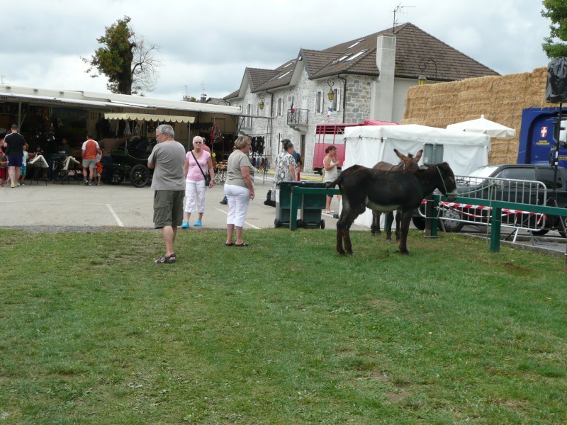 09.08.08 56 Foire aux bestiaux de Fillinges.JPG