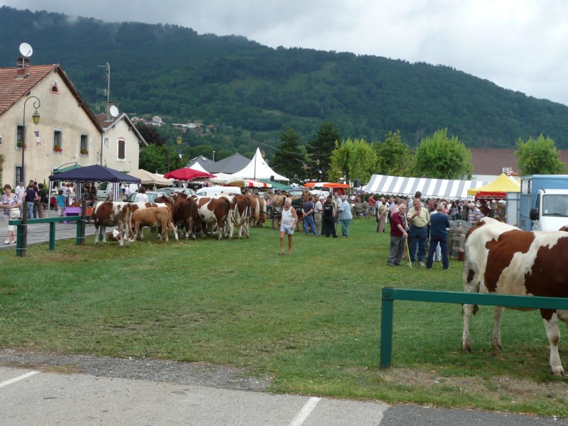 09.08.08 57 Foire aux bestiaux de Fillinges.JPG